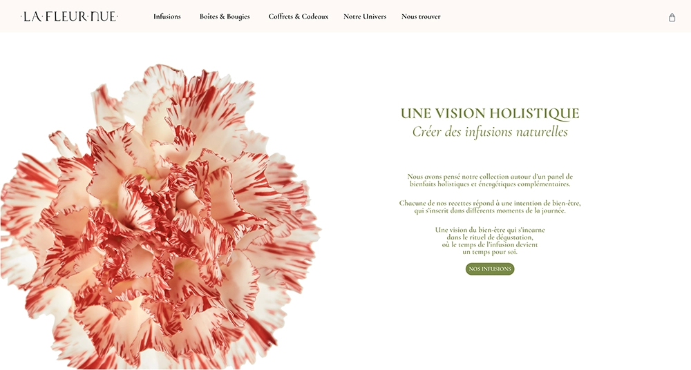 La Fleur Nue hompage section portfolio