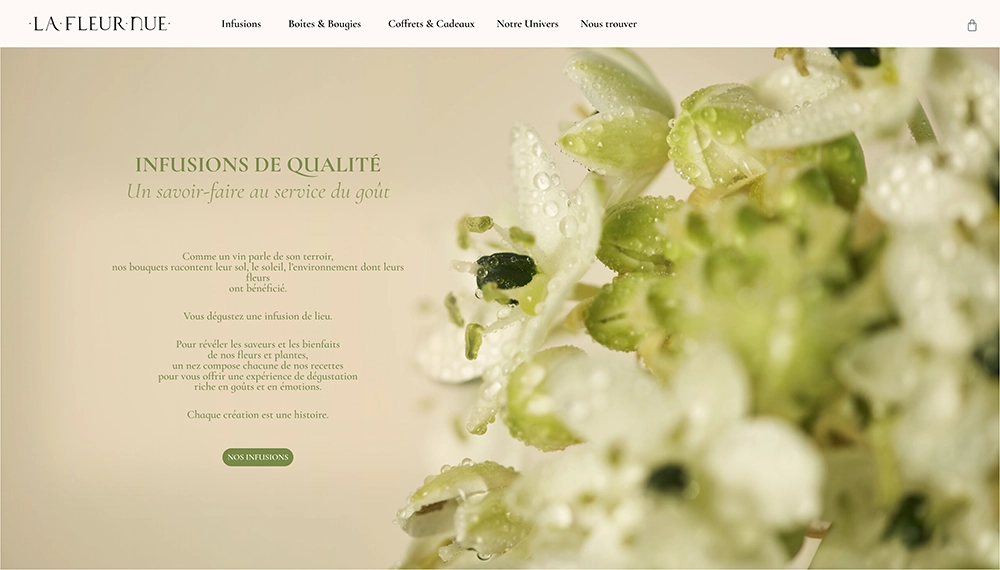 La Fleur Nue hompage image section portfolio