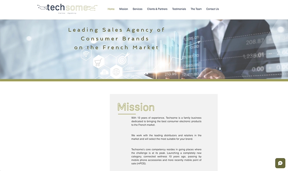 Techsome homepage portfolio