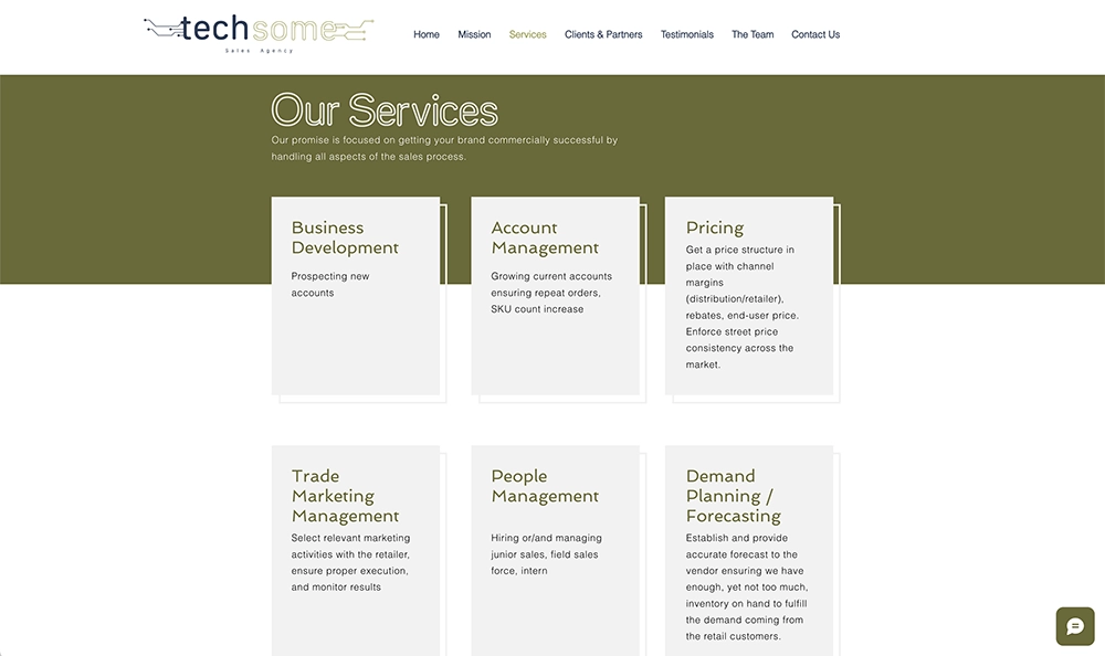 Techsome homepage services portfolio